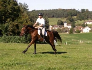  Gallops courses